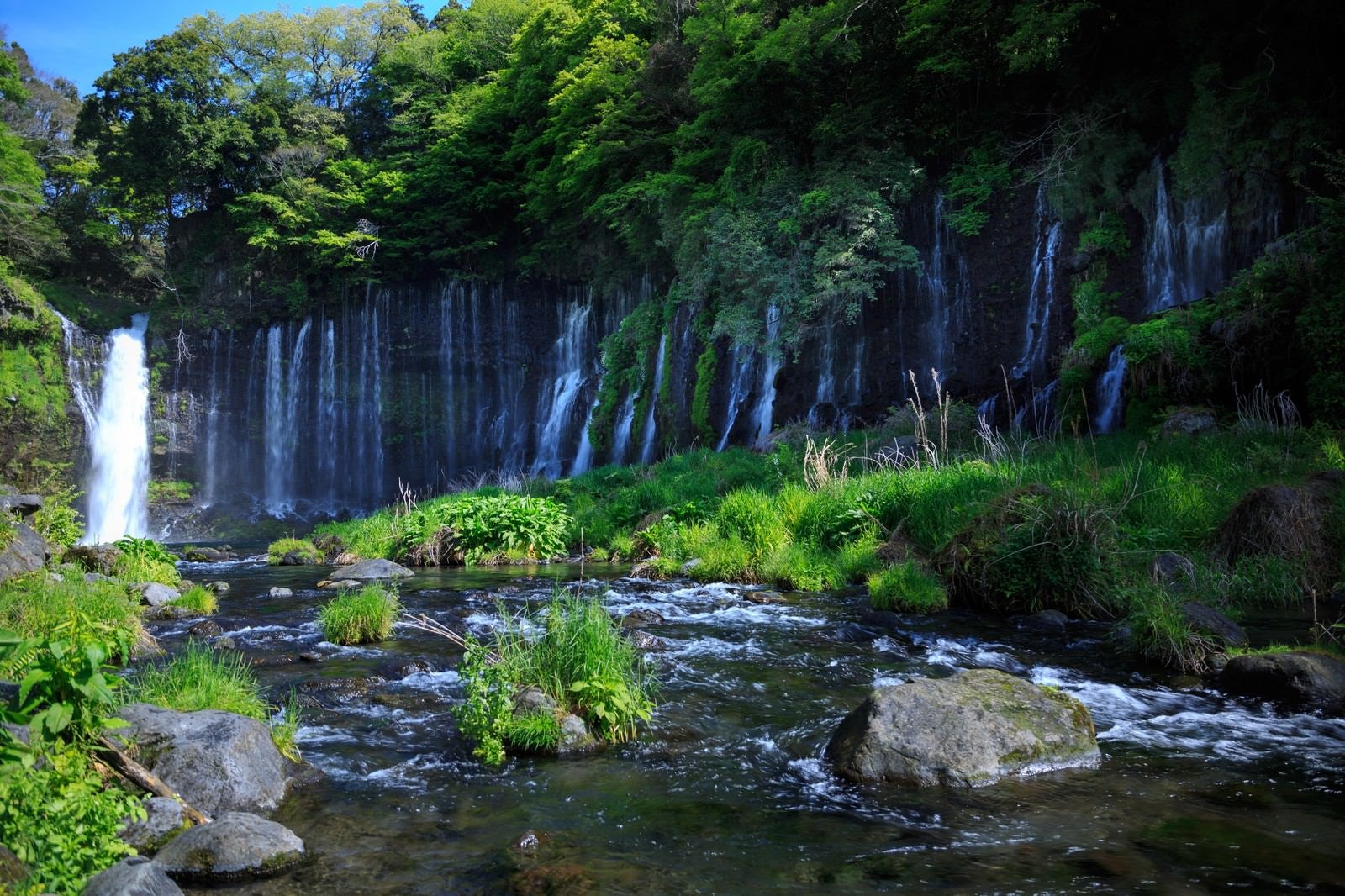「白糸の滝」の写真