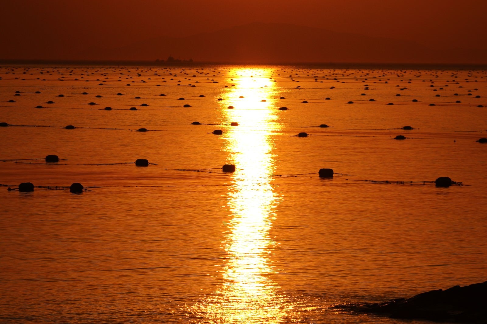 「海に伸びる夕暮れのレイライン」の写真