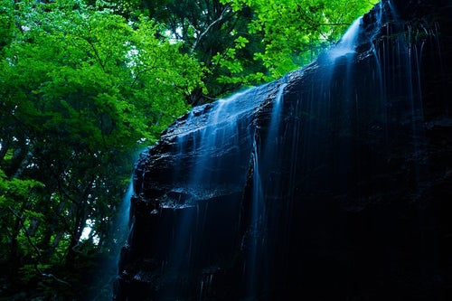 鏡野町随一のフォトジェニックな場所、岩井滝の写真
