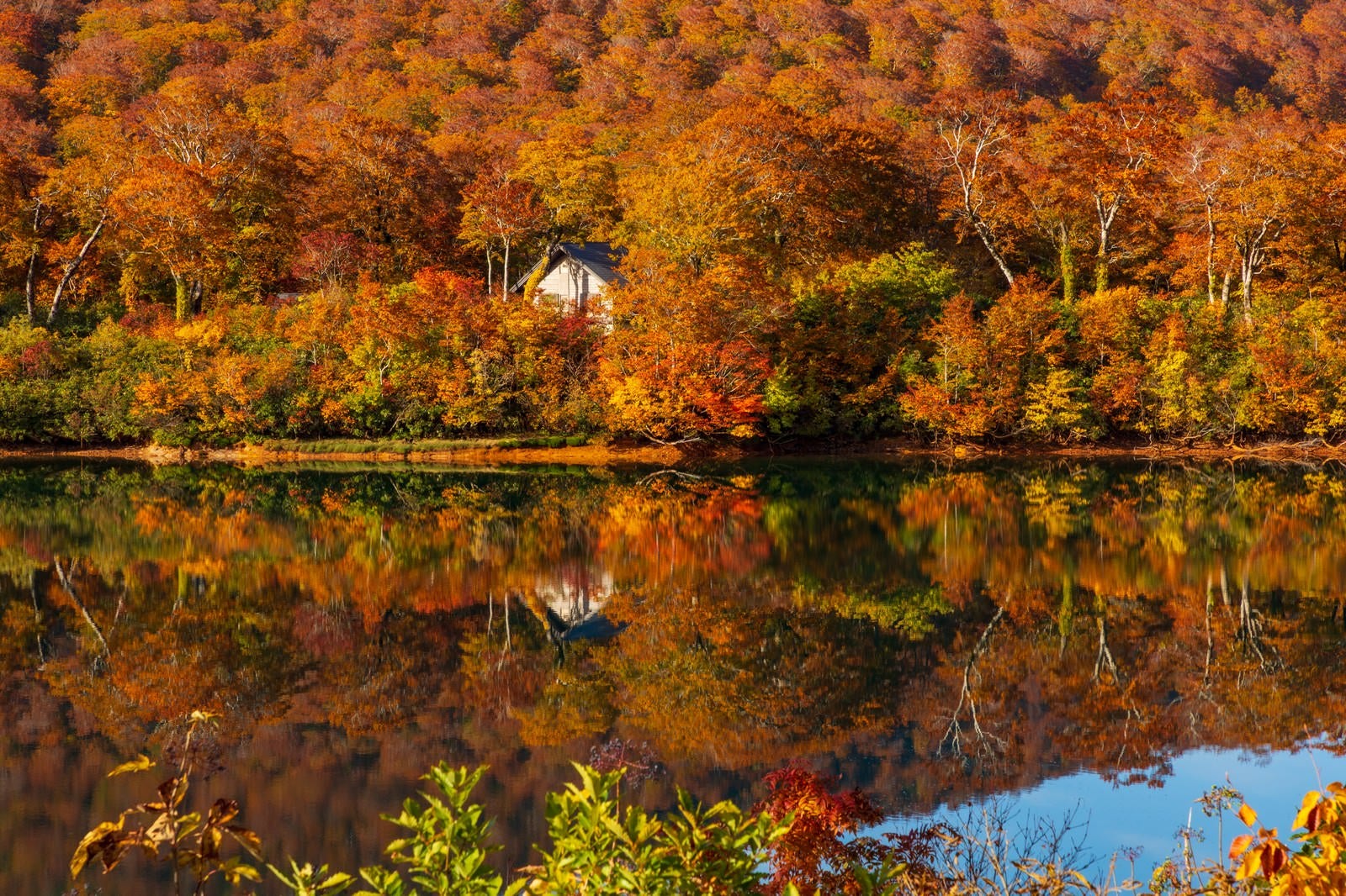 「紅葉の須川湖」の写真