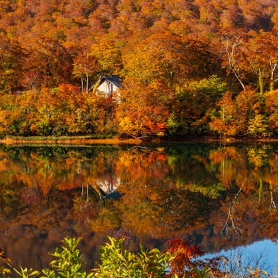紅葉の須川湖の写真