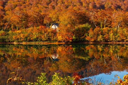 紅葉の須川湖の写真