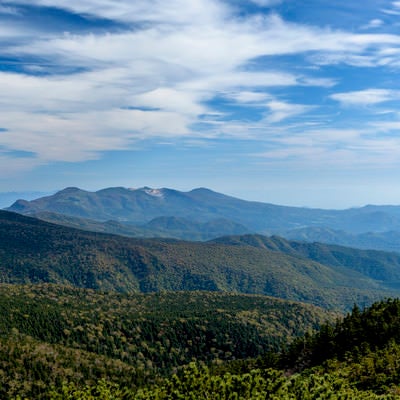 吾妻山の深い森と安達太良山（あだたらやま）の写真