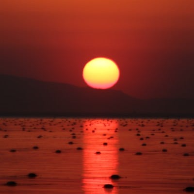 日没前の太陽とレイラインの写真