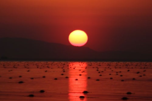 日没前の太陽とレイラインの写真