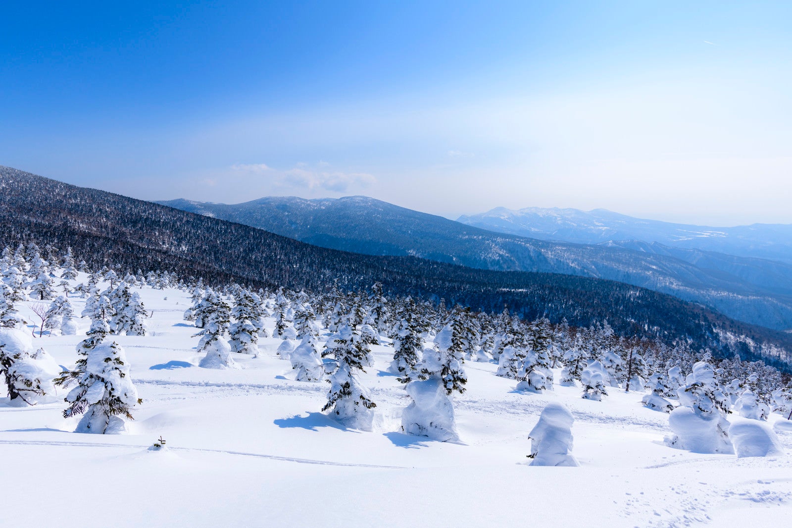 「樹氷の西吾妻山から見る安達太良山（あだたらやま）」の写真