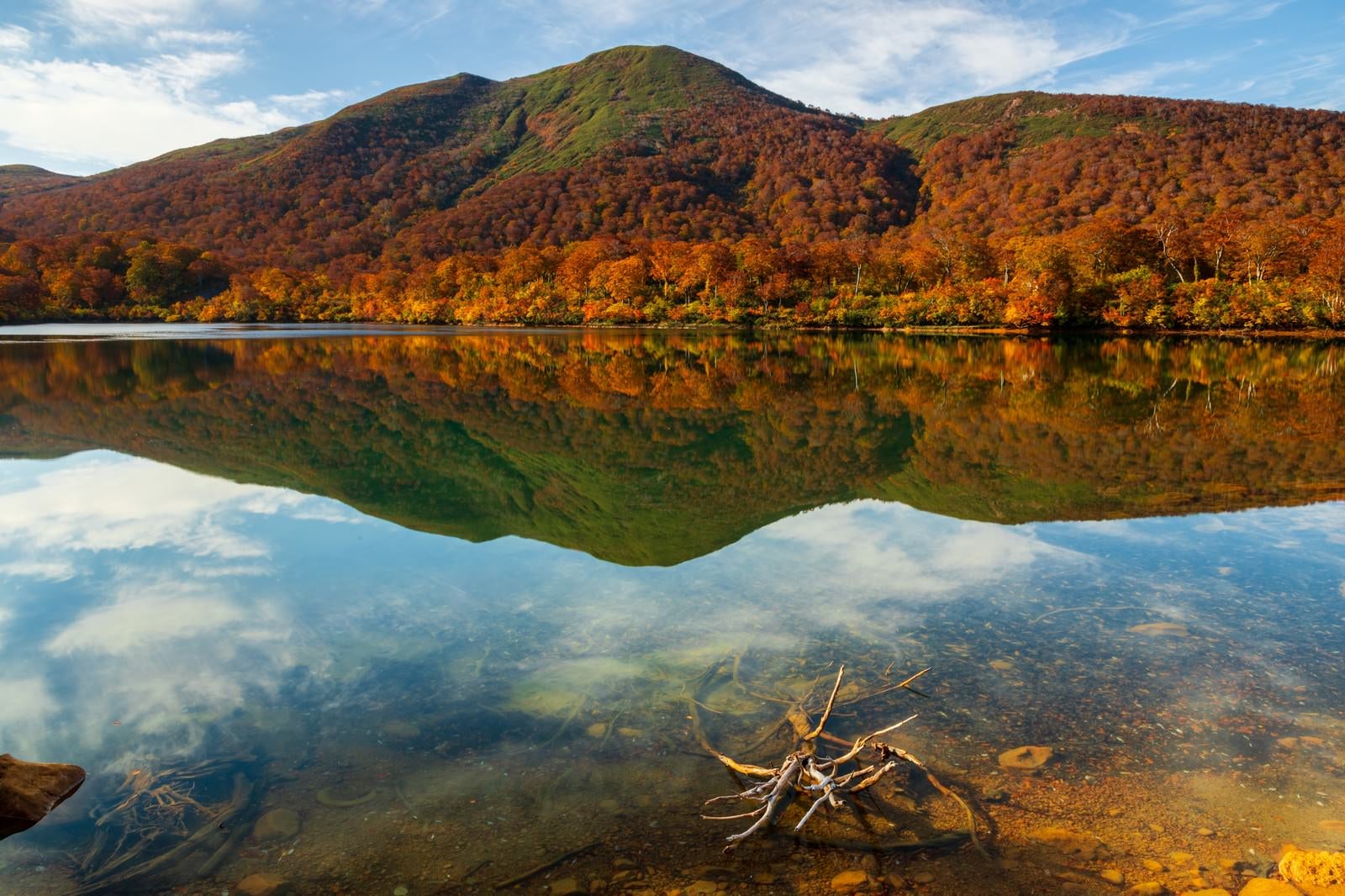 「紅葉の山と須川湖」の写真