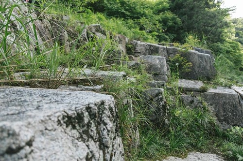 岩と草（鏡野町奥津渓）の写真