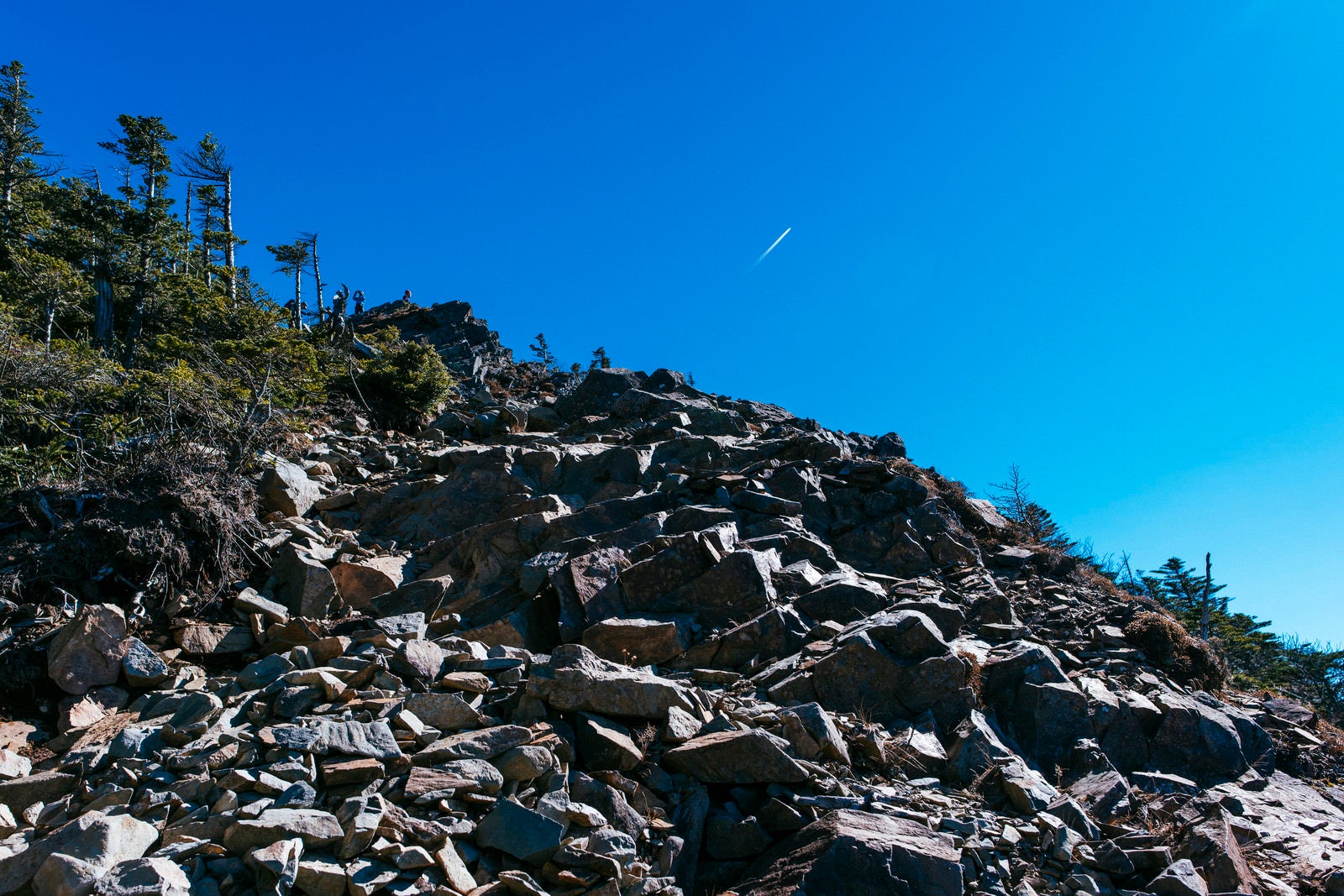 「甲武信ヶ岳山頂直下の瓦礫帯」の写真
