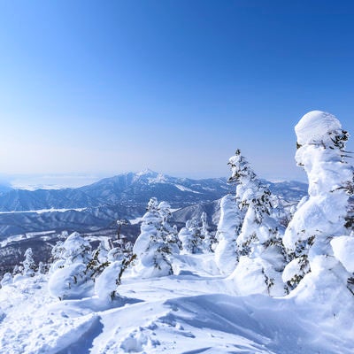 樹氷の西吾妻山から見る磐梯山（ばんだいさん）の写真