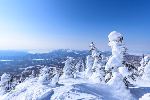 樹氷の西吾妻山から見る磐梯山（ばんだいさん）の写真
