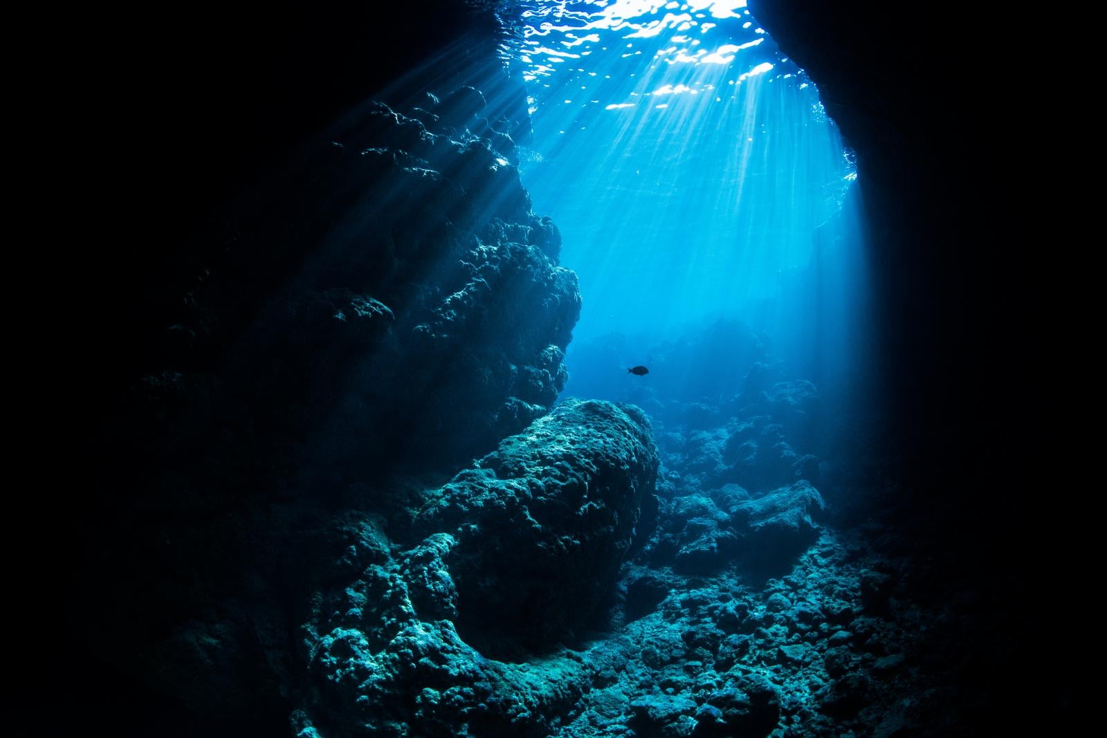 「神秘の青、海中の光と青の洞窟の旅」の写真