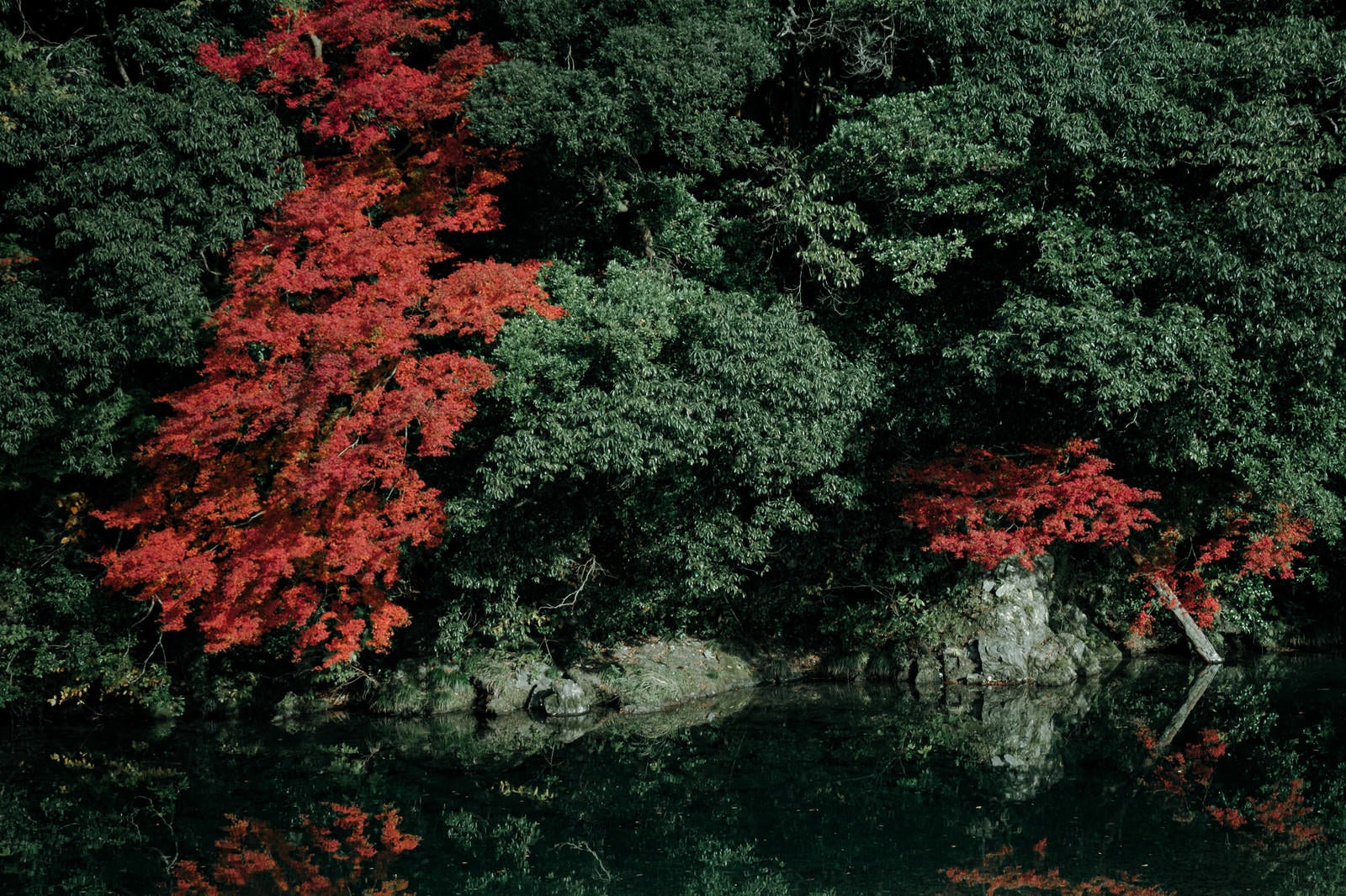 「紅葉した木々と湖面」の写真