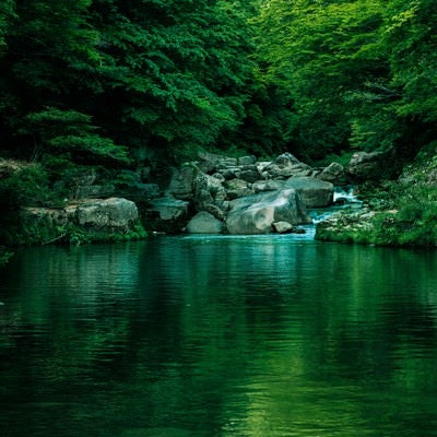 メディアのロケーション地にも選ばれる奥津渓の景観の写真