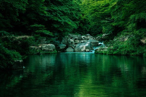 メディアのロケーション地にも選ばれる奥津渓の景観の写真