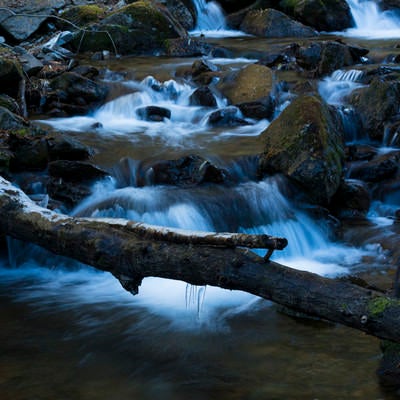 甲武信ヶ岳毛木平を流れる渓流の写真