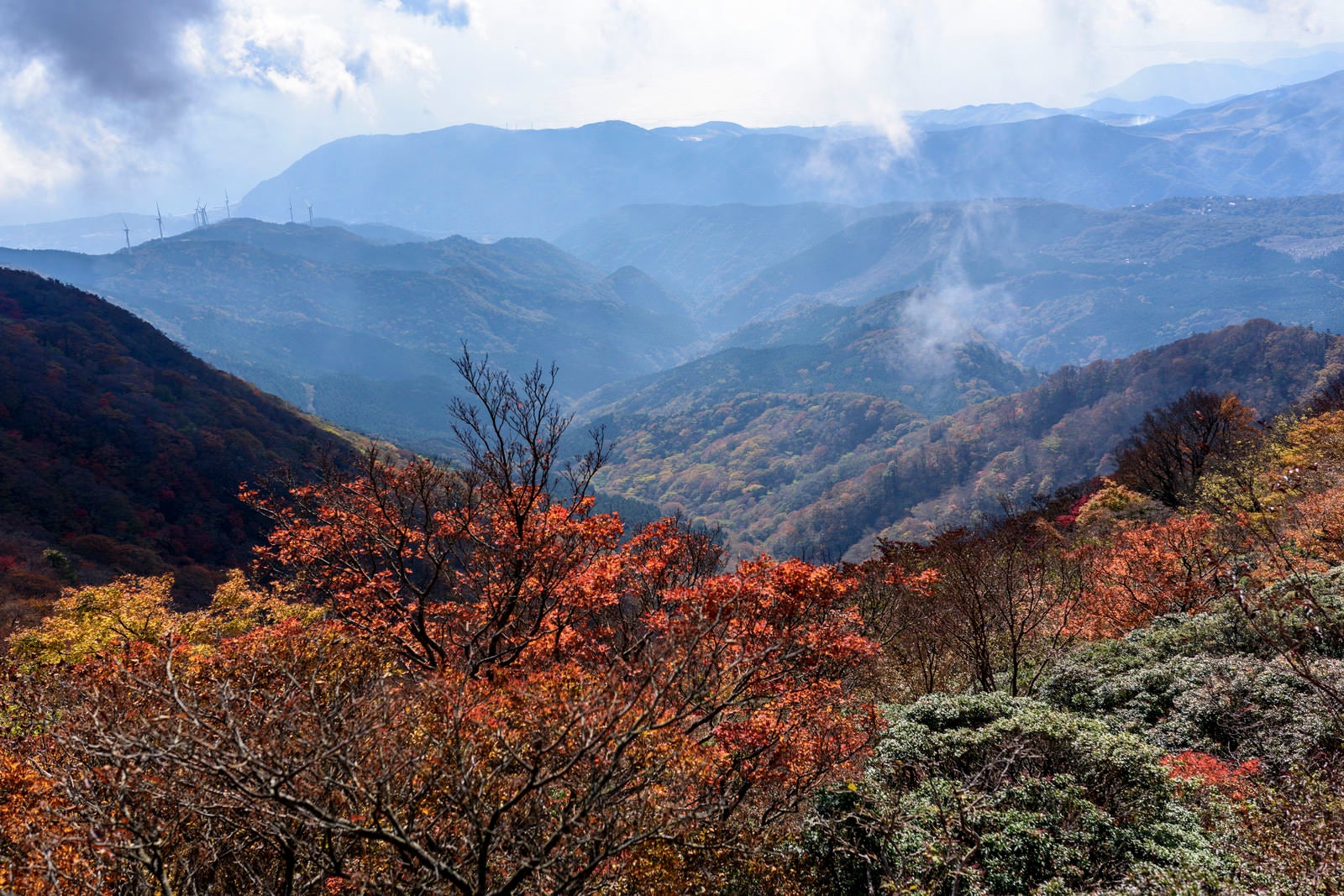 「天城山稜線から見る伊豆の山々」の写真