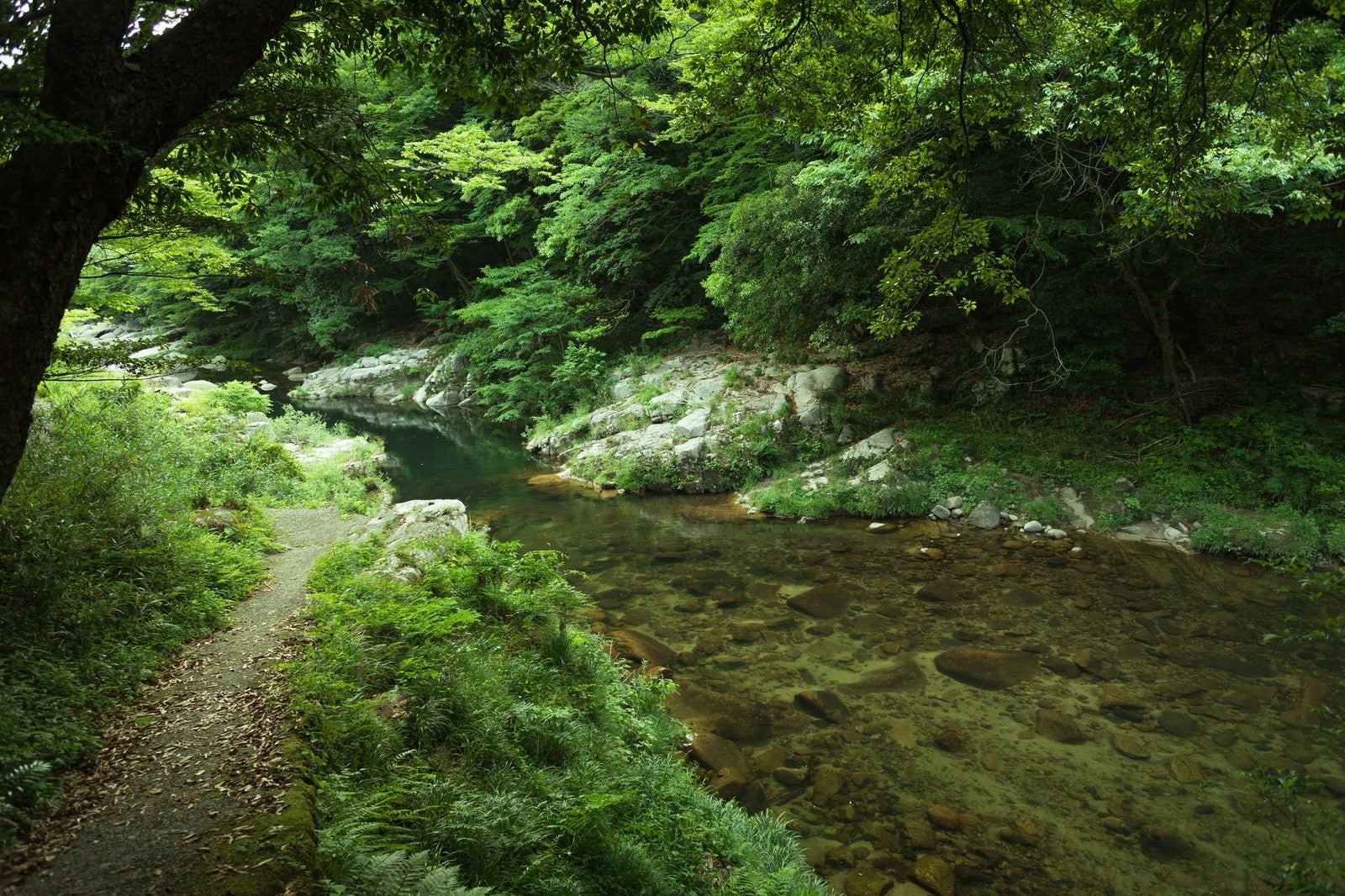 「新緑の奥津渓も美しい」の写真