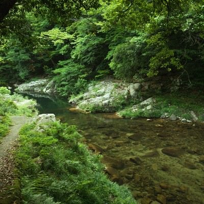 新緑の奥津渓も美しいの写真