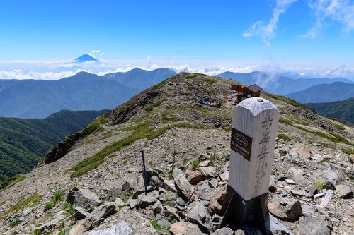 赤石岳山頂から拝む富士山の写真