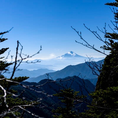 甲武信ヶ岳稜線から見える富士山の写真