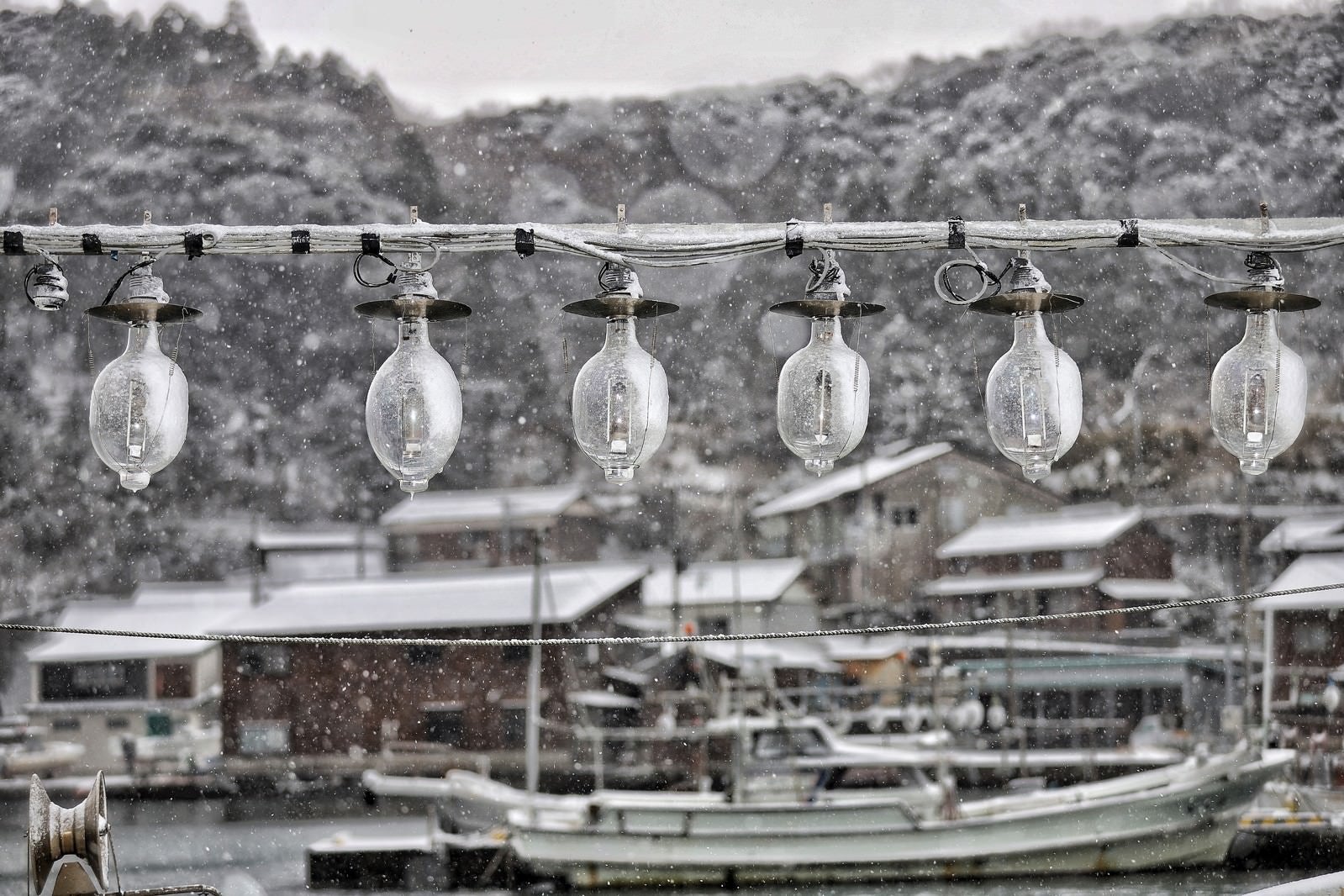 「港に吊るされた照明ライト」の写真