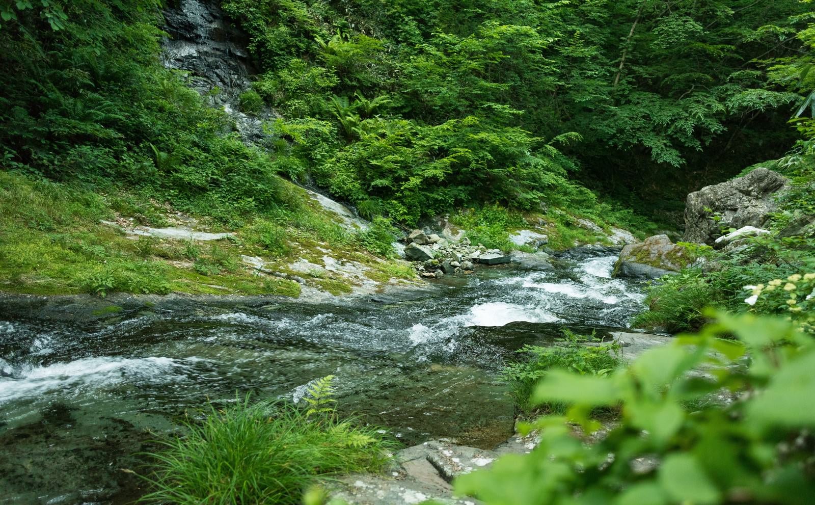 「渓谷を流れる川の流れ」の写真
