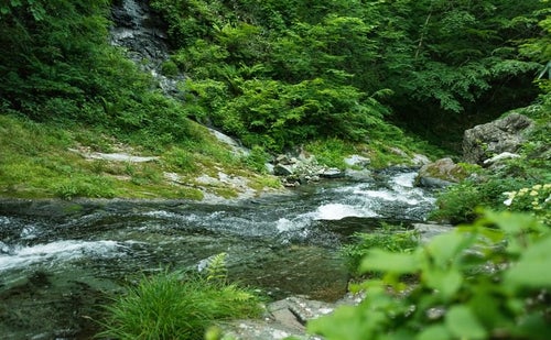渓谷を流れる川の流れの写真