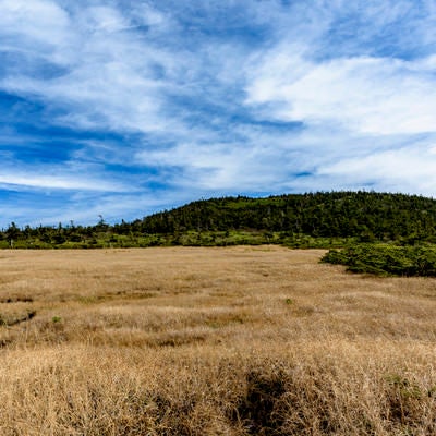 草紅葉の西吾妻山の写真