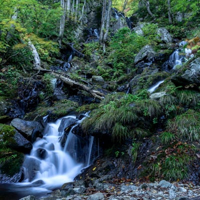 西吾妻山の渓流の写真