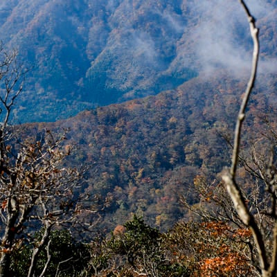 紅葉した樹木に包まれる天城山の麓の写真