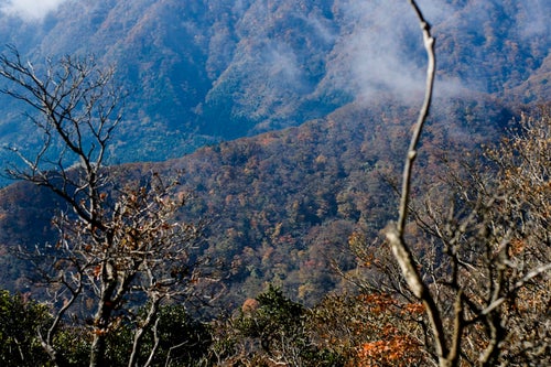 紅葉した樹木に包まれる天城山の麓の写真