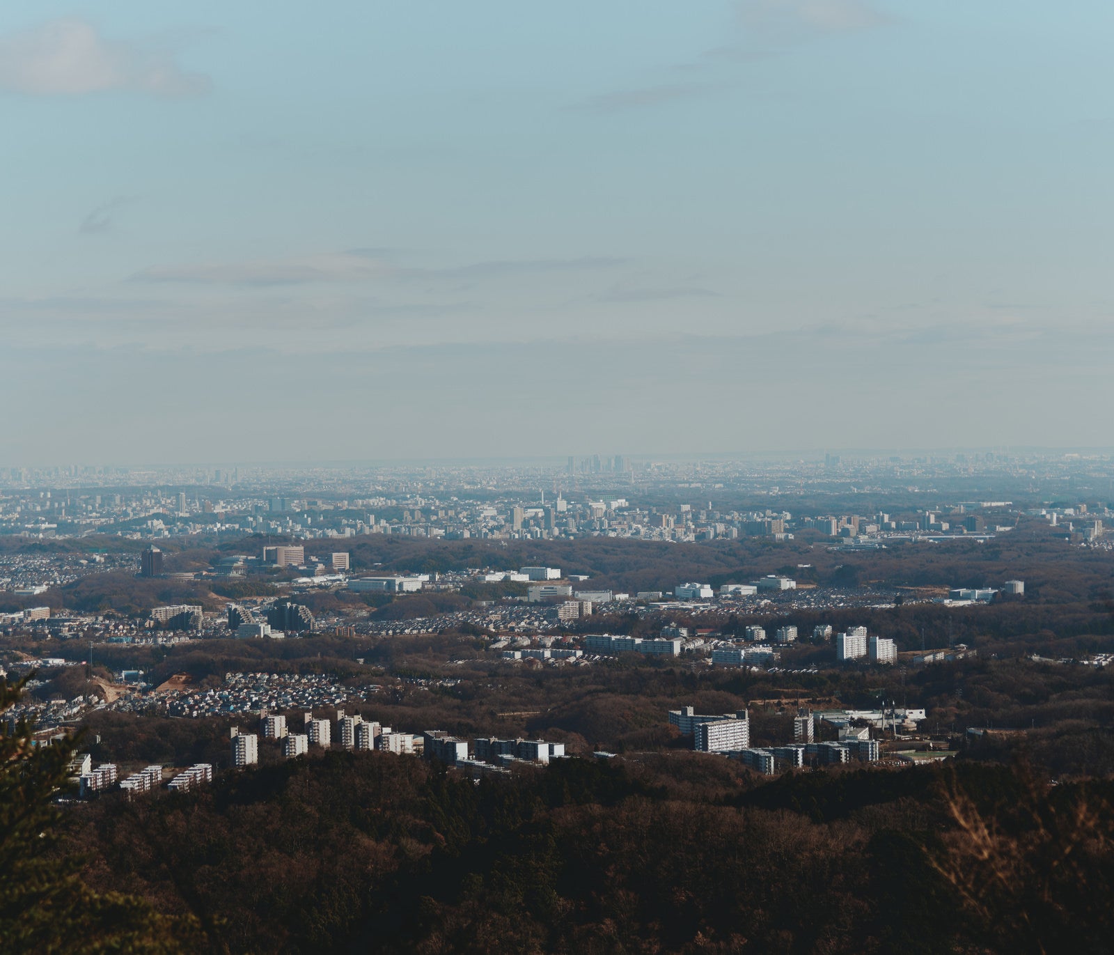 「山上から見た街」の写真