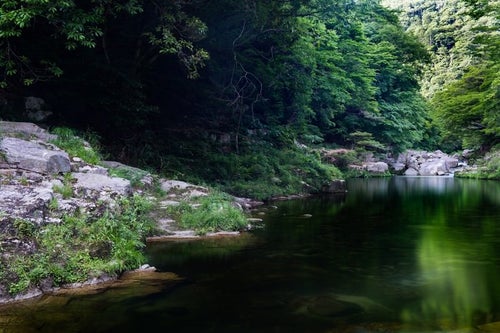 奥津渓の穏やかな流れの写真