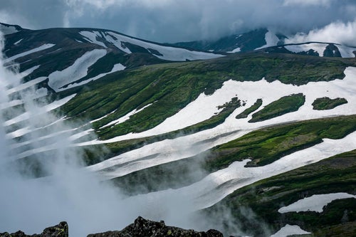 ゼブラ模様の大雪山の姿の写真