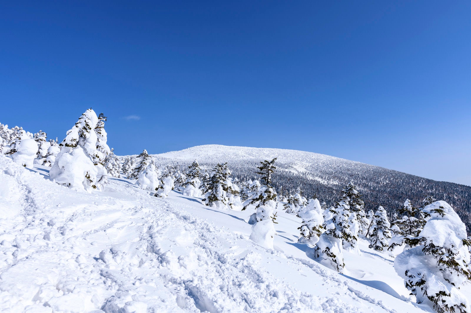 「雪に覆われた西吾妻山（にしあづまやま）」の写真