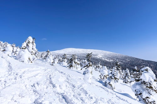 雪に覆われた西吾妻山（にしあづまやま）の写真