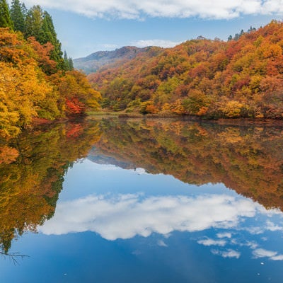 湖面に映り込む秋の空の写真