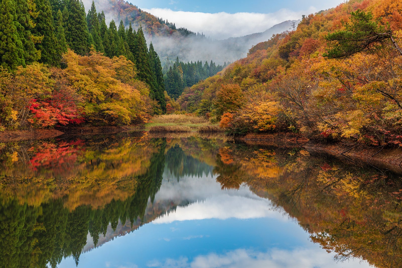 「紅葉が映り込むため池」の写真