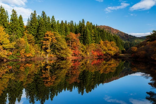 紅葉で彩るため池の写真