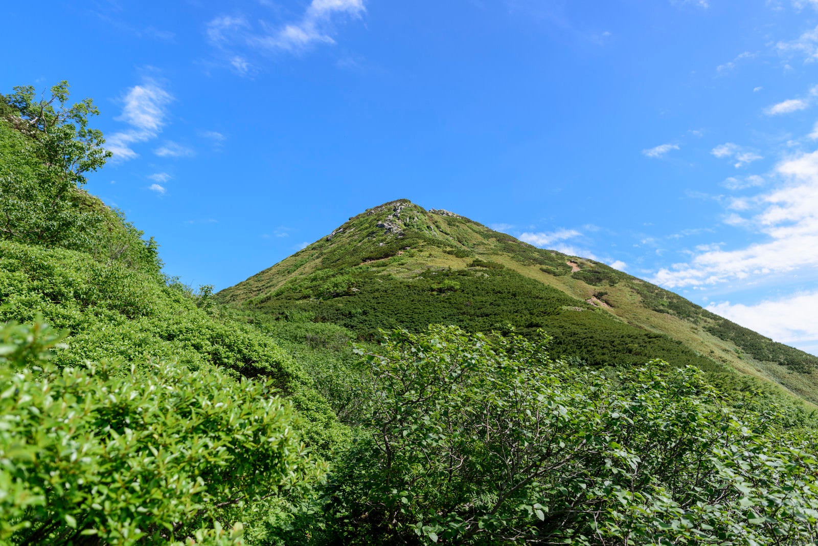 「仰ぎ見る燧ヶ岳の山頂」の写真