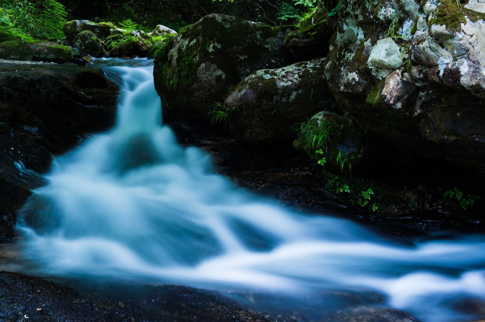 「岩間を流れる水源（白賀渓谷）」の写真