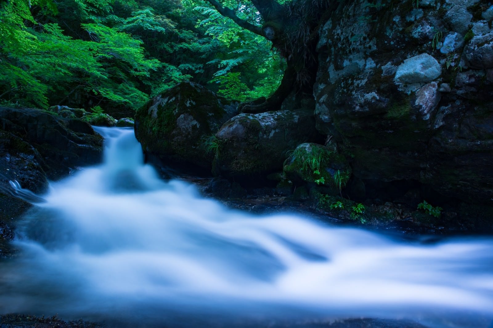 「白賀渓谷の水流（岡山県鏡野町）」の写真