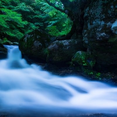白賀渓谷の水流（岡山県鏡野町）の写真