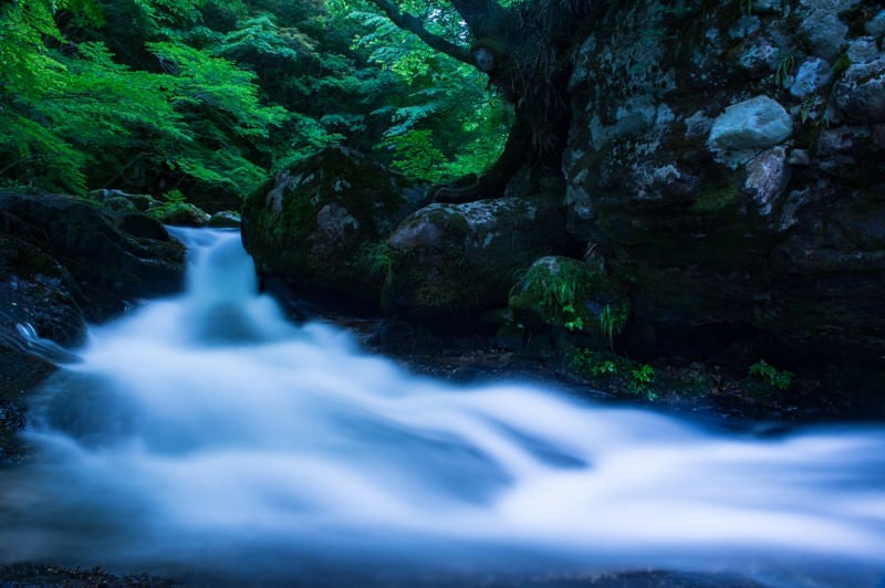 白賀渓谷の水流（岡山県鏡野町）の写真