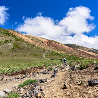 大雪山の登山道を歩く登山者の写真