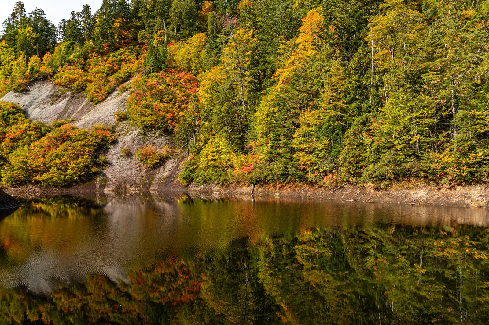 「紅葉した木々と秋の太平湖（秋田県北秋田市）」の写真
