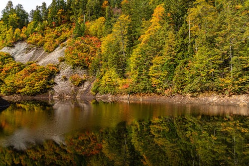 紅葉した木々と秋の太平湖（秋田県北秋田市）の写真