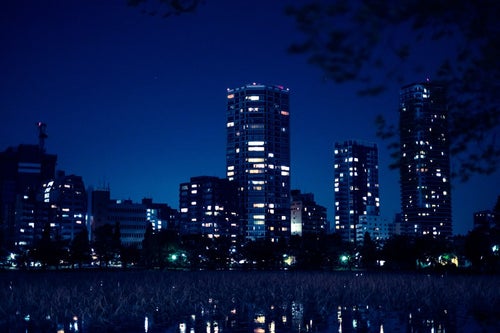 高層マンションと不忍池の夜の写真