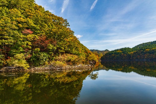 湖面に映る秋の紅葉（太平湖）の写真